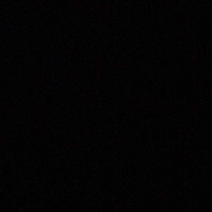 Meet your Posher, Susie